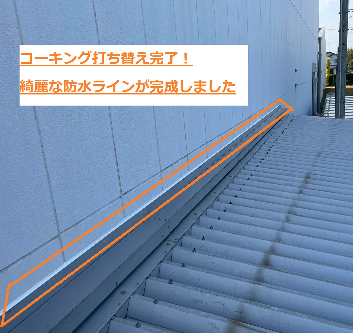 コーキング打ち替え4